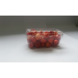 Opakowania PP 250 g (2604 szt) 142x94x52 mm Opakowania PP 250 g (2604 szt) 142x94x52 mm