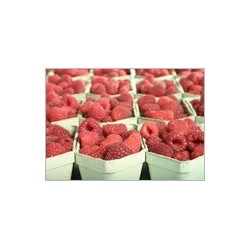 opakowania z masy papierowej 500 g polskie (500)